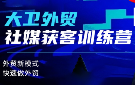 大卫老师·外贸社媒获客独家训练营(更新)-摇钱树